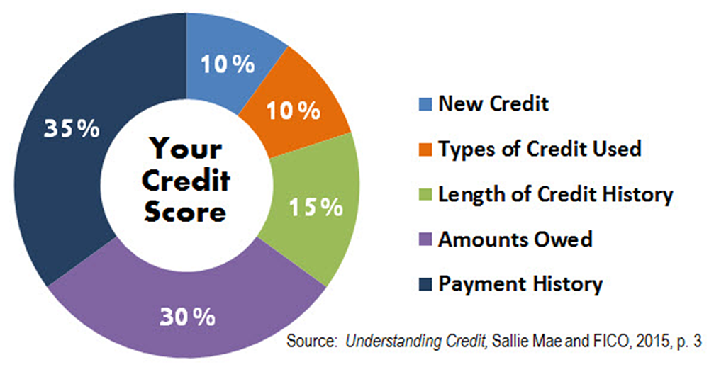 credit score pie chart